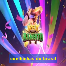 coelhinhas do brasil